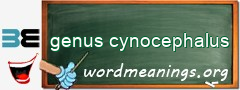 WordMeaning blackboard for genus cynocephalus